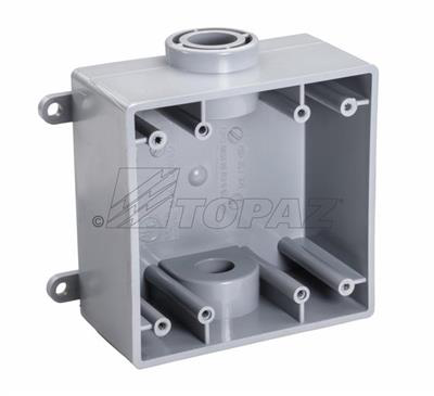 1293 1'' 2-HOLES 2-GANG TYPE FSC  BOX