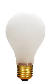 A19/100/RS   100W ROUGH SERVICE