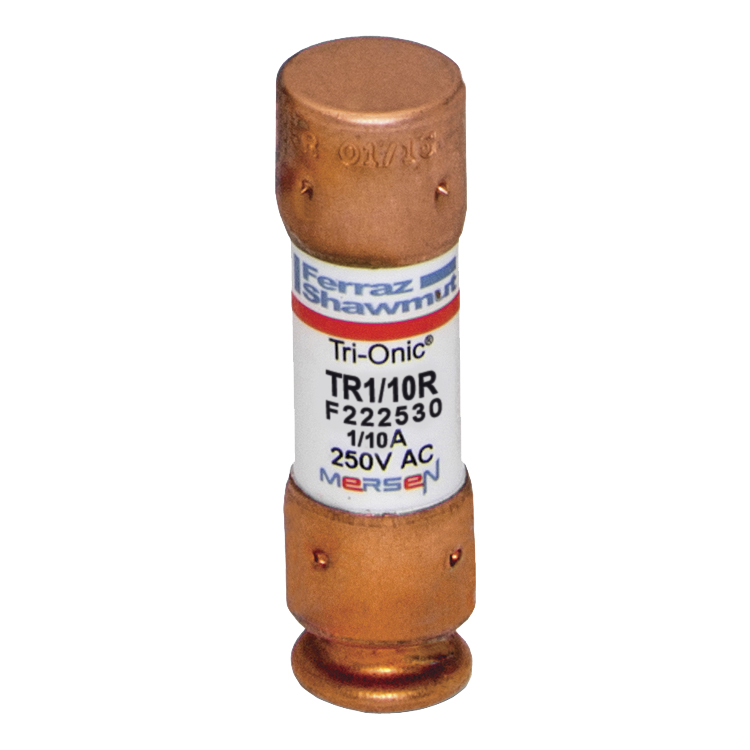 TR110R    110A.250V.T/D.FUSE   ECNR110