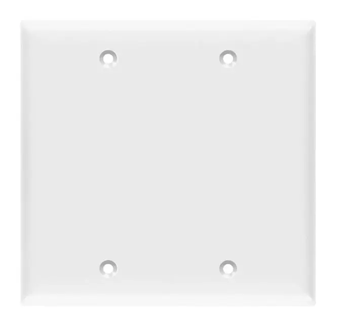 SP23W  2G BLANK PLATE WHITE