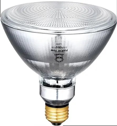 PAR38/39W  BULB  HALOGENO  39W SILV