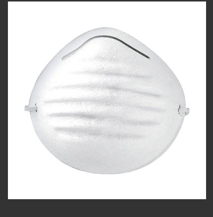 14250  Safety Dust Mask PAINT