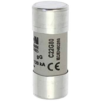 C22G80(FUSIBLE 80A)