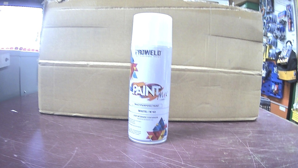[N40] MULTIPURPOSE PAINT WHITE