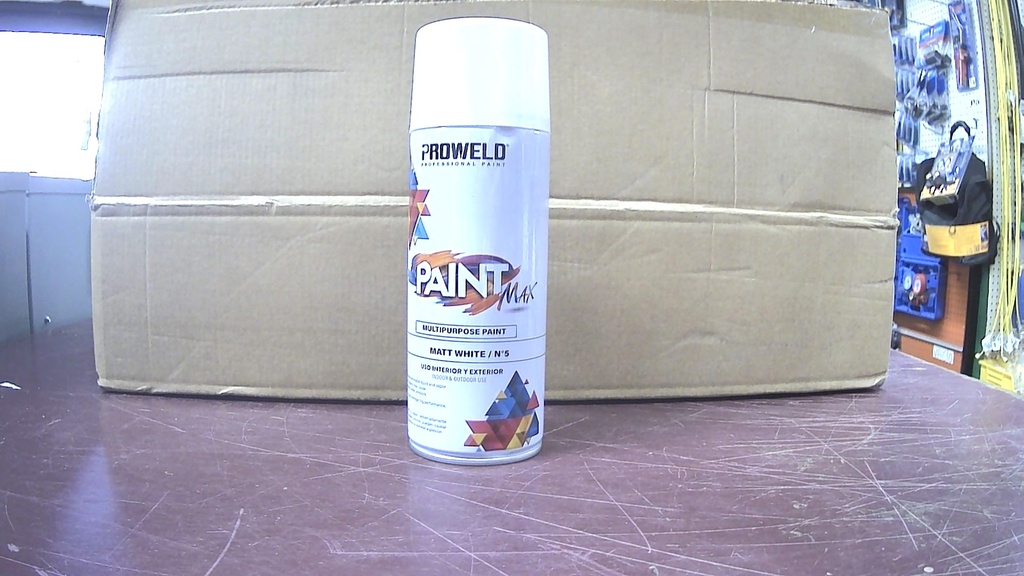 [N5]  MULTIPURPOSE PAINT WHITE MATT