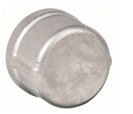 6051009   2' PIPE END CAPS S.S