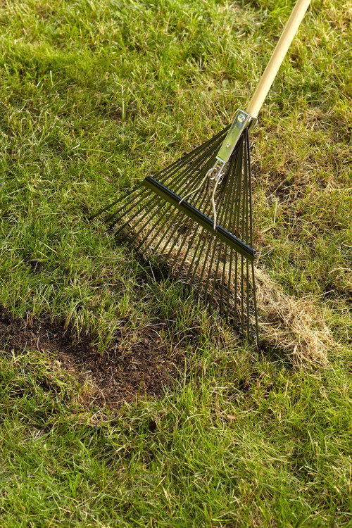30450 18 Tines Steel Leaf Rake (EMX-18)