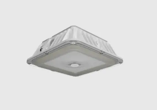 VAN17-30W VAN17 30/25/20W 8"X8" FIELD ADJUSTABLE 3000K/4000K/5000K PHOTOCELL [WHITE] RAB LIGHT