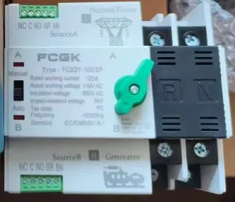 FCSDI-100/2P  110V  Dual Power Automatic Transfer Switch 100A Electric Industry Metal Switch 50/60Hz PC