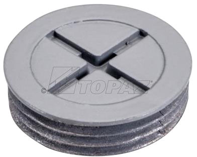 [WP100] WP100 1"    CLOSURE  PLUG  WP  25/250PK