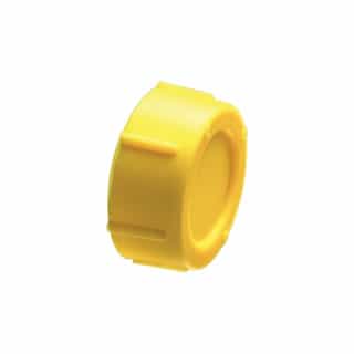 [RGD100C] RGD100C 1"   CONDUIT  CAPS  RGD
