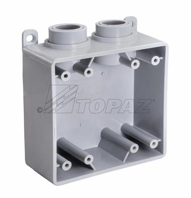 [1297] 1297 1/2'' 2-HOLES 2-GANG TYPE FSS  BOX
