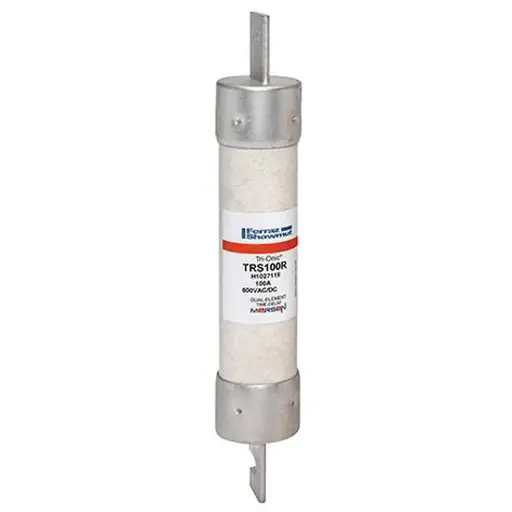 [TRS100R] TRS100R   100A.600V.T/D.FUSE  ECSR100