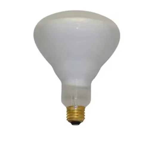 [75BR/FL] 75BR/FL  130V BULB 15125 LIGHT