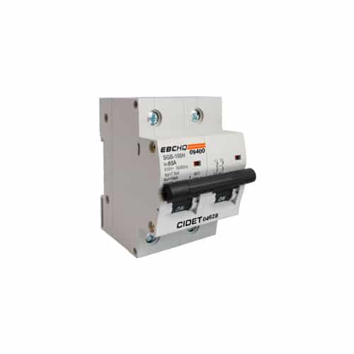 [EB09402] EB09402  BREAKER 100A.2P