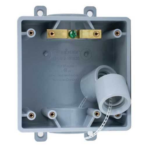 [077649] 077649 FDU-2 PVC FD BLANK DBL GANG BOX SCEPTER
